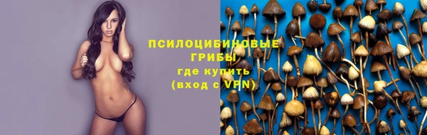 а пвп мука Аркадак