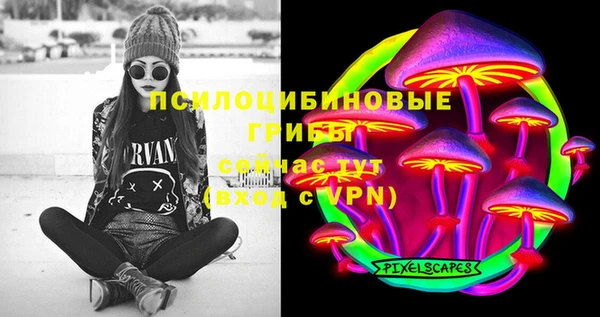 ECSTASY Алзамай