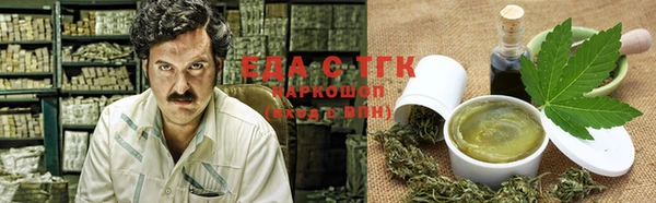 ECSTASY Алзамай