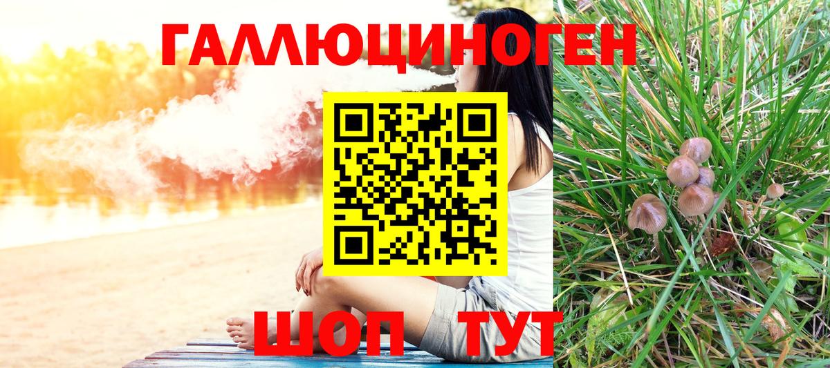 Псилоцибиновые грибы прущие грибы Обнинск